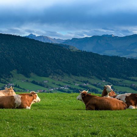 Ferienwohnung Bergpfote - Hund Herzlich Willkommen Scheidegg Buitenkant foto