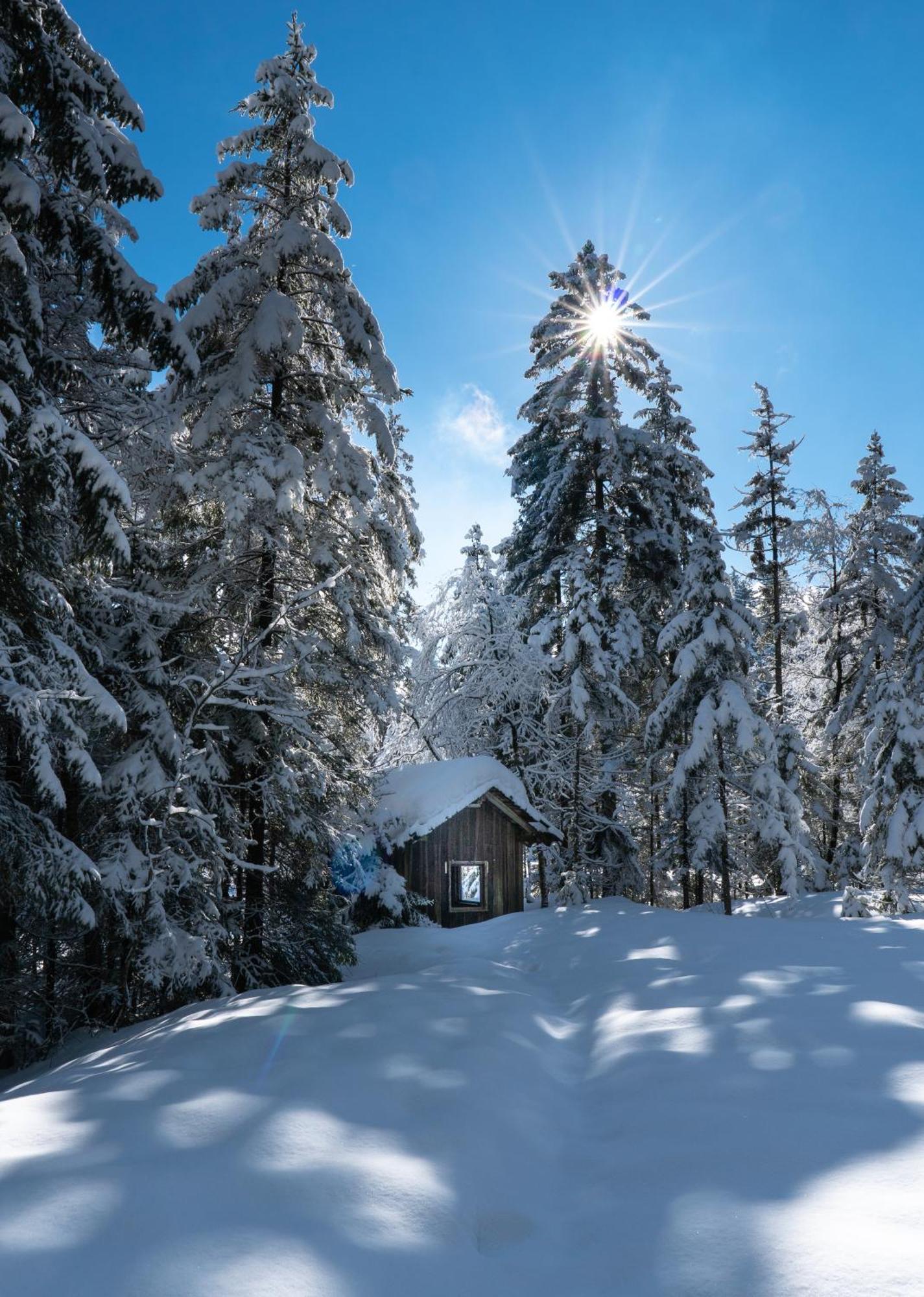 Ferienwohnung Bergpfote - Hund Herzlich Willkommen Scheidegg Buitenkant foto