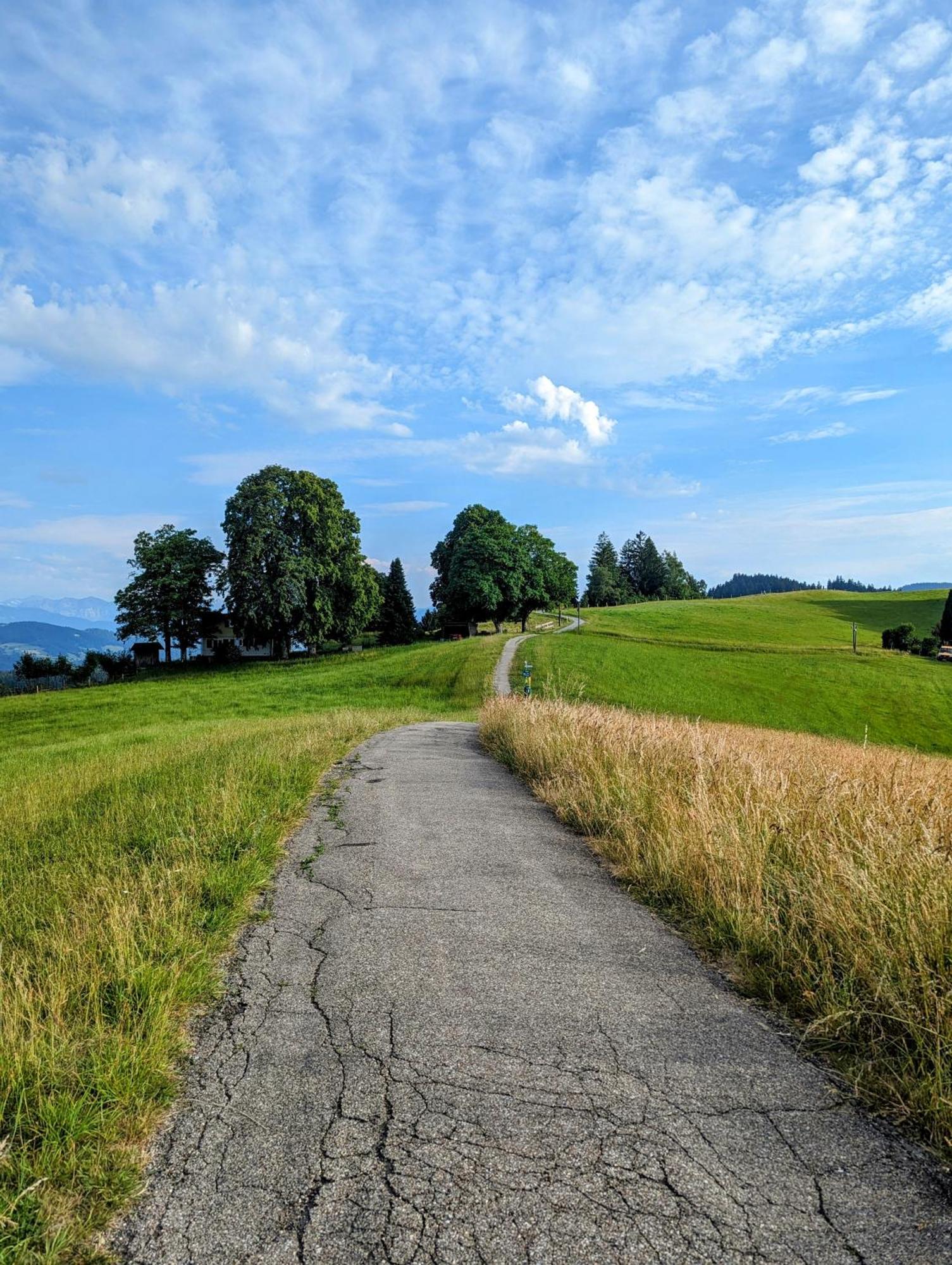 Ferienwohnung Bergpfote - Hund Herzlich Willkommen Scheidegg Buitenkant foto